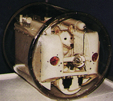 Modell av simulatoren Laika brukte under treningsprogrammet. Wikimedia Commons