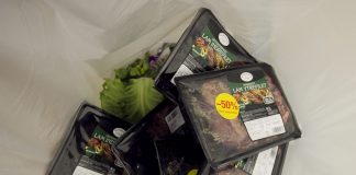I Noreg kastar ein gjennomsnittleg forbrukar kvart år 42 kilo mat som kunne vore eten. Foto: Heiko Junge / Scanpix