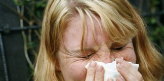 Over halvparten av pollenallergikarane på Vestlandet kjenner seg trøytte i vår- og sommarsesongen, men ein av tre vestlendngar behandlar likevel ikkje allergien sin med medisin. Foto: Sara Johannessen / NTB Scanpix / NPK