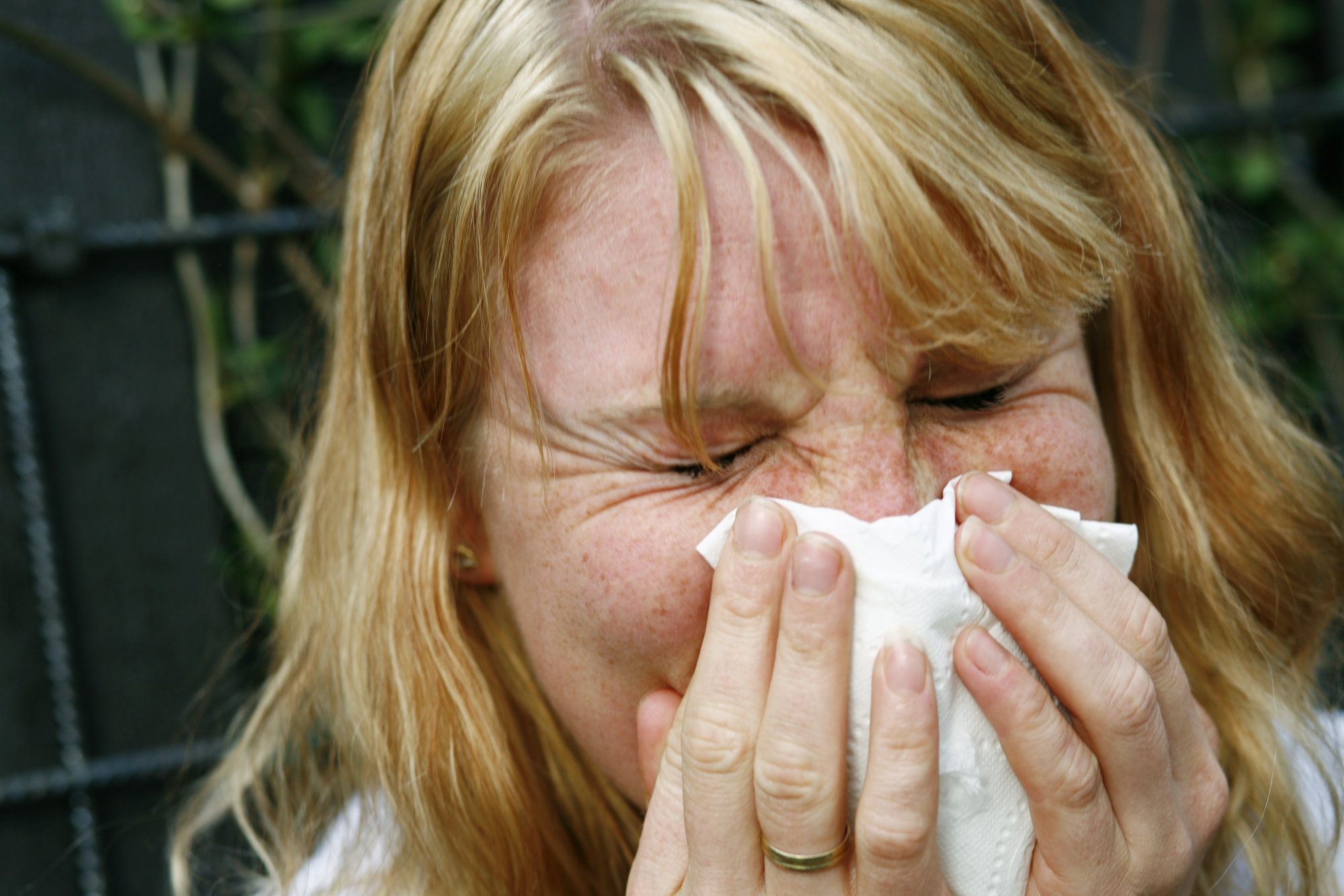 Over halvparten av pollenallergikarane på Vestlandet kjenner seg trøytte i vår- og sommarsesongen, men ein av tre vestlendngar behandlar likevel ikkje allergien sin med medisin. Foto: Sara Johannessen / NTB Scanpix / NPK