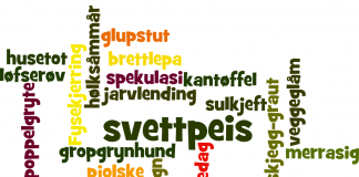 I boka Fysekjerringer og glupstuter. Norges morsomste dialektuttrykk tek språkforskar Tor Erik Jenstad oss med på ei rundreise i det norske dialektlandskapet. Ordsky: Wordle.net