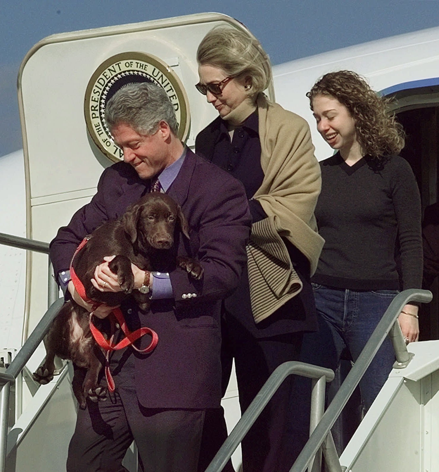 CLINTON DOG