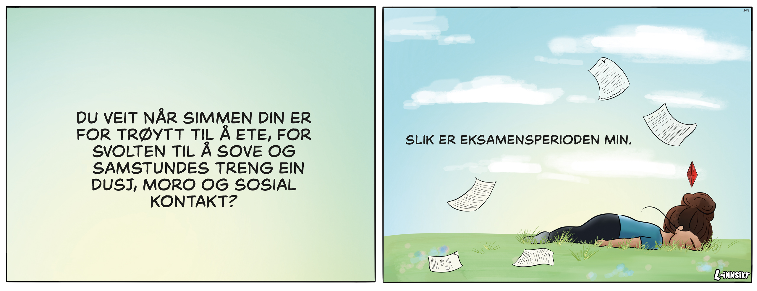L innsikt Nr 156 Framtida