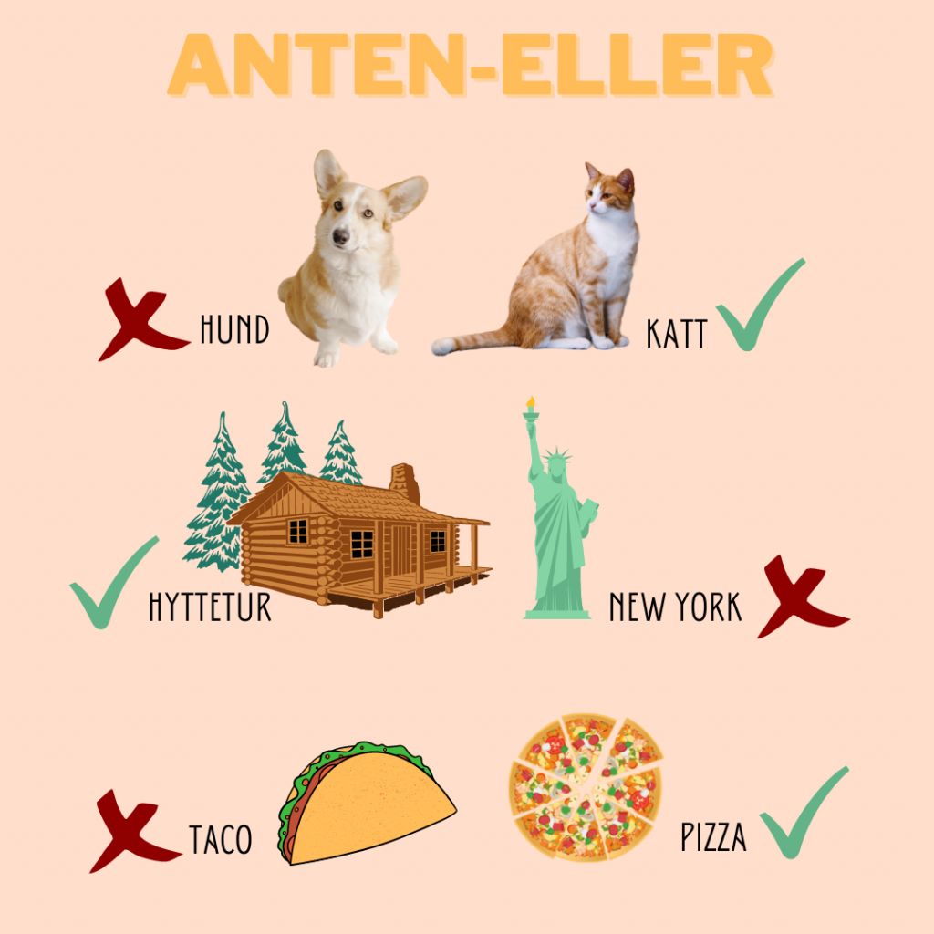 Anten - Eller Hund eller katt? Katt Hyttetur eller New York? Hyttetur Taco eller Pizza? Pizza