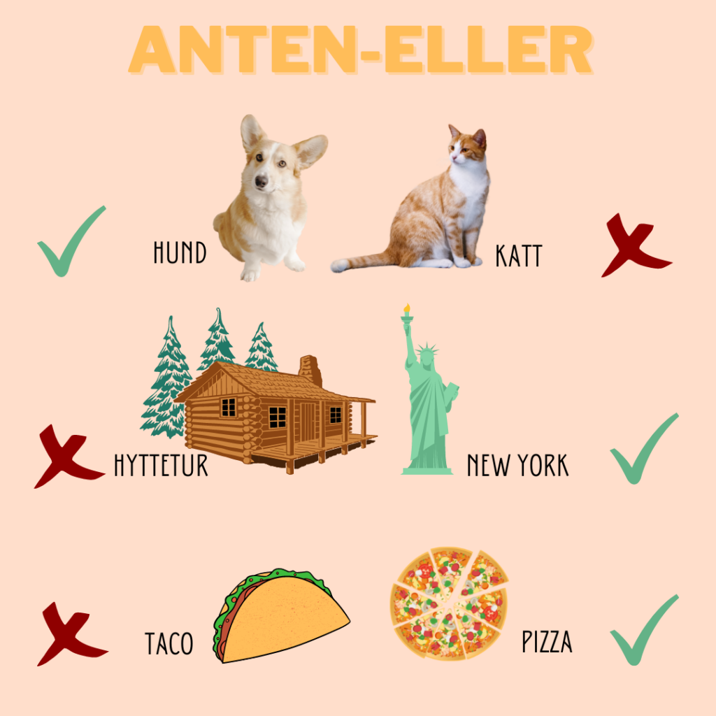 ANTEN-ELLER: Hund eller katt? Hund (helst begge). Hyttetur eller New York? New York (helst begge). Taco eller Pizza? Pizza.