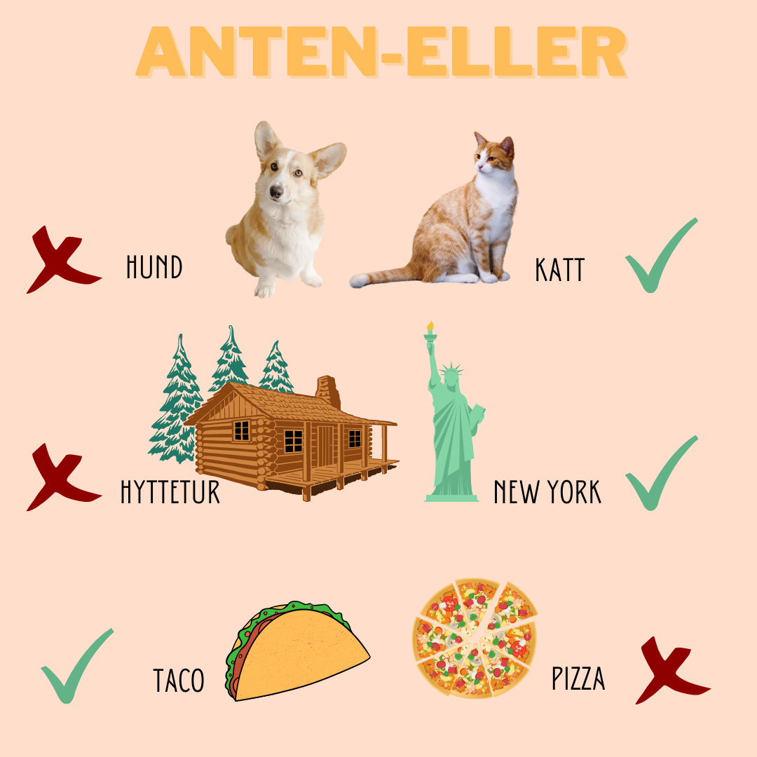 Illustrasjon som syner at Petter føretrekker katt over hund, New York over hyttetur og taco over pizza. 