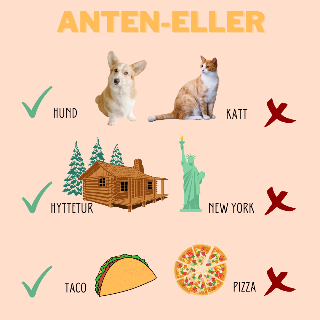 Anten-eller: Hund>katt, hyttetur>New York, taco>pizza