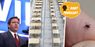 Kollasj for vekas viktigaste veke 21, med mann i dress, tomme pultar og finger med flått.