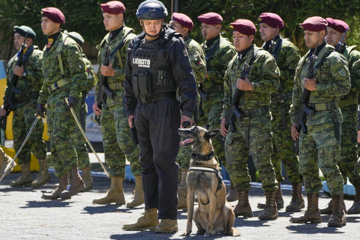 Hund saman med menneske i militærklede.