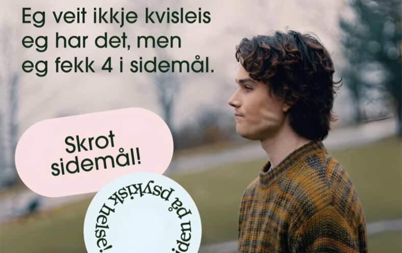 Ein gutt står ute. Teksten lyder Eg veit ikkje kvisleis eg har det, men eg fekk 4 i sidemål.